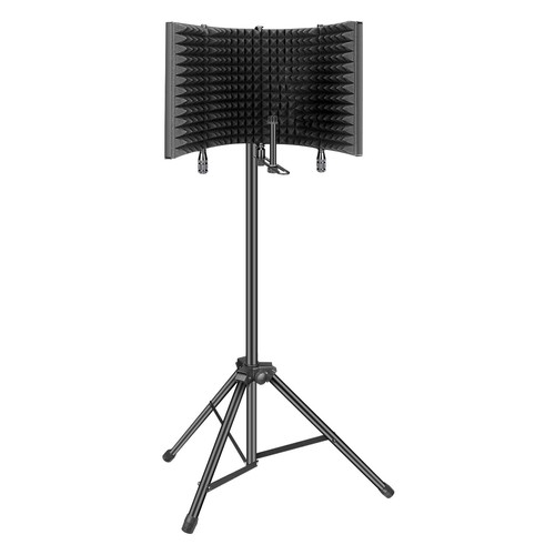 Professional studio recording - professional,