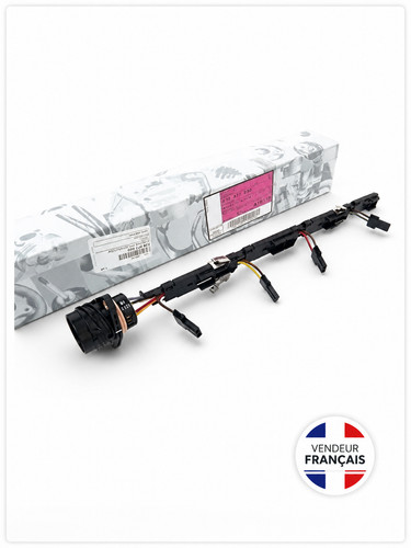 Faisceau injecteur complet