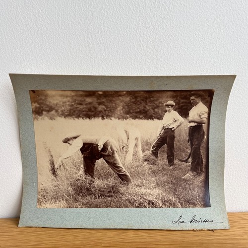 Photo albumine contrecollée
