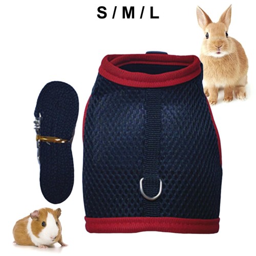 Lapin harnais laisse - , respirant