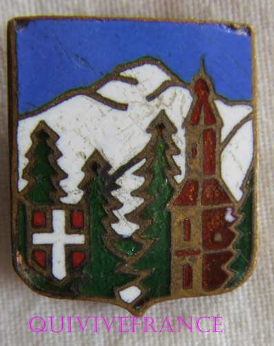Sk1696 insigne badge ski - insigne,