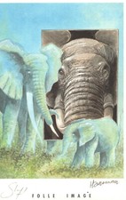 EX-LIBRIS LES ELEPHANTS TIRAGE LIMITE ET SIGNE PAR RENE HAUSMAN NEUF