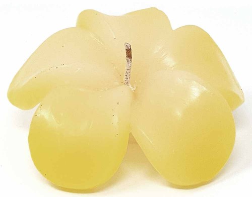 Bougies flottantes frangipani - bougies,