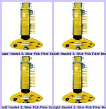 Guitare Électrique Indienne