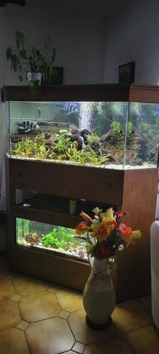Aquarium 600 2 étages - en,