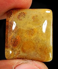 Cabochon En Pierre De Corail