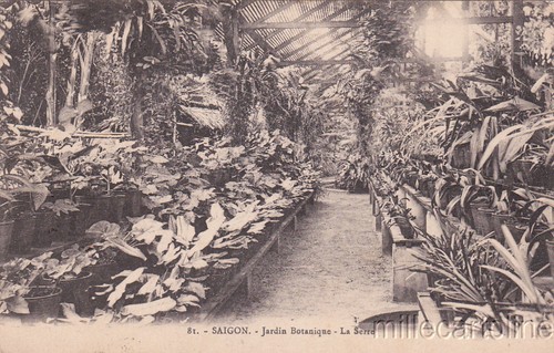 Vietnam saigon jardin - vietnam,