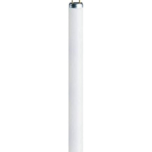 O1067241 osram tube néon - osram,
