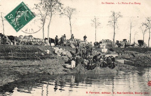 Carte postale dombes - postale,