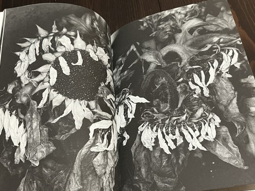 2000 1ère édition nobuyoshi - 1ère,