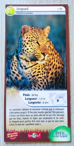 Carte merveilles monde - monde,