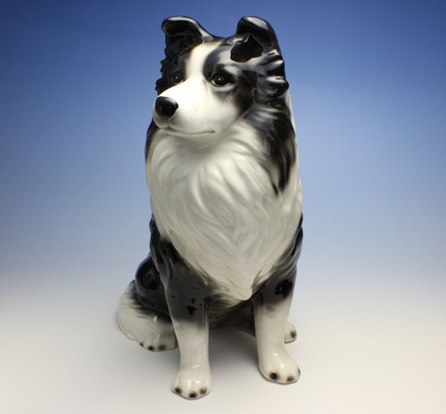 Border collie black and white - border,