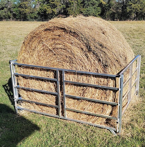 Collapsible sheep goat - collapsible,