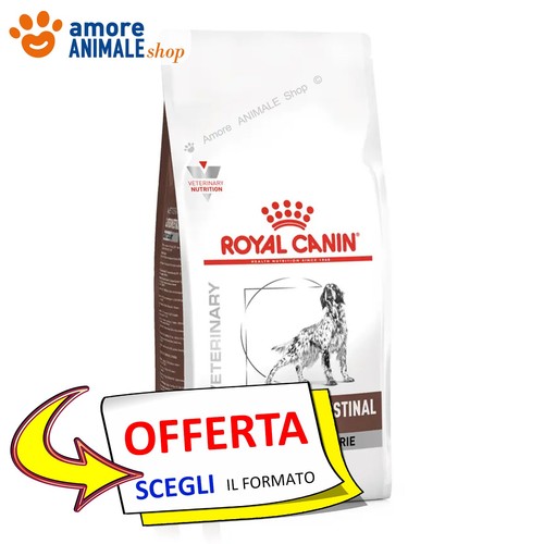 Royal canin chien - royal,