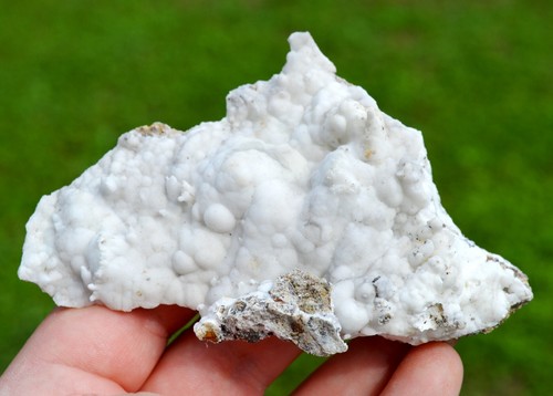 Aragonite flos ferri 119 - "flos,