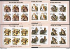 KV278 IMPERFORATE 2002 GUINEA NEW FAUNA BIRDS OWLS CHOUETTES HIBOUX !!! 6SET MNH