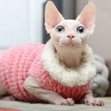 Sphynx Chat Pull Gilet