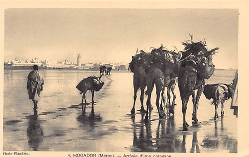 Maroc mogador essaouira - -,