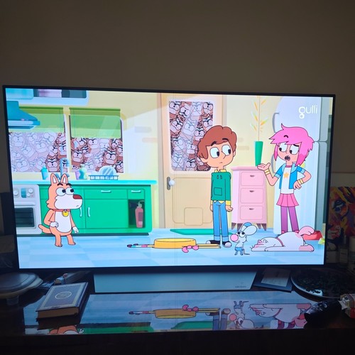 Oled 4k - tv, 55"