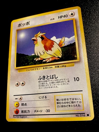 Pokemon card carte pidgey - ,
