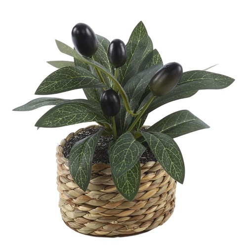 Plante artificielle olivier - plante,