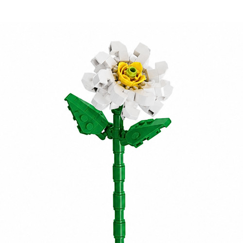 Fleur tige marguerite blanche - marguerite,