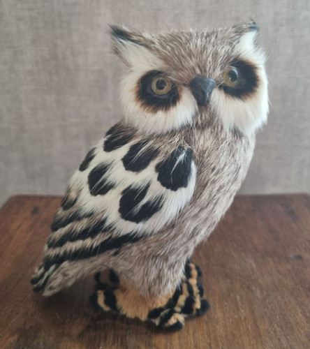 Chouette hibou décoratif - , 15