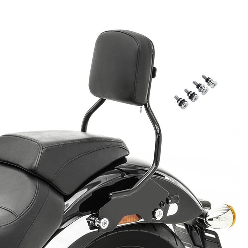 Sissy bar detachable - detachable, pour