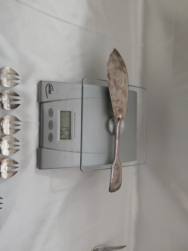 Pelle poisson argent minerve - pelle,