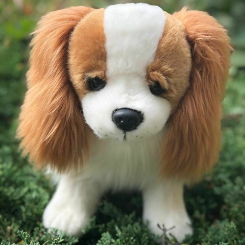 Auswella plush cavalier - auswella,