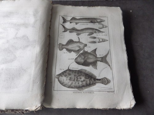 Panckoucke ichtchyologie - panckoucke,