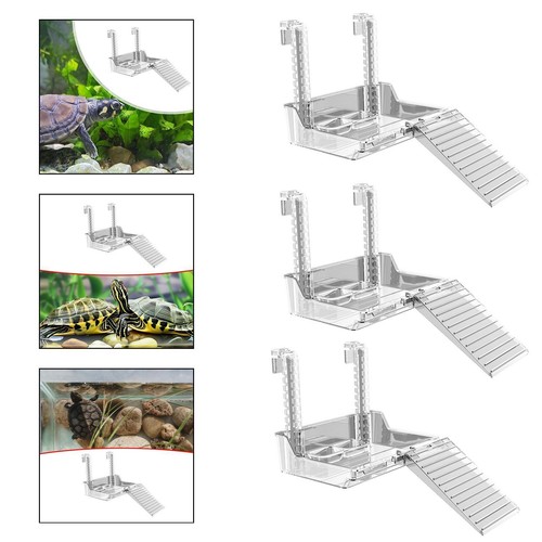 Rampe pour aquarium tortues - rampe, à