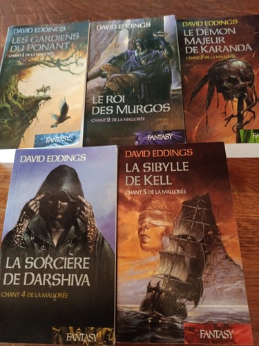 Lot livres roman fantasy 1 - livres,