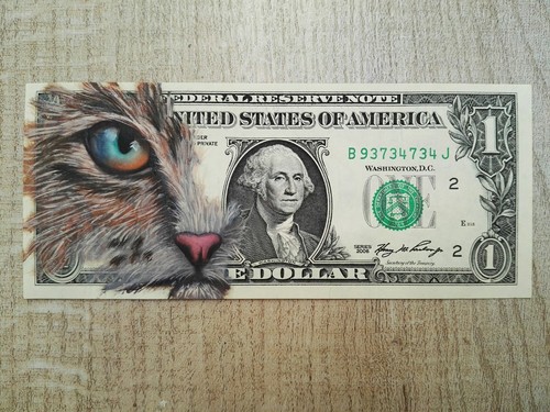 Peinture huile sur billet de - peinture,,
