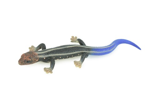 Phelsuma gecko toy - phelsuma,