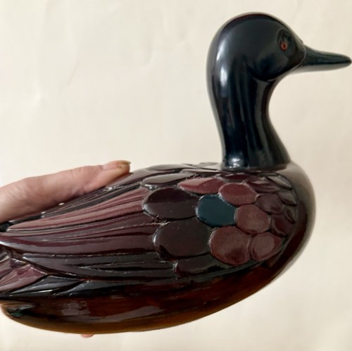 Superbe grand canard - grand, de