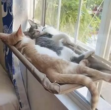 Hamac de Fenêtre pour Chat -