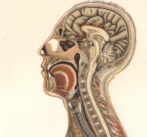 1897 lithographie originale - 1897,
