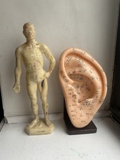 Vintage Chinese Acupuncture Model Nude Male Sculpture Scientific and Ear