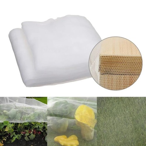 Filet anti oiseaux insectes - oiseaux, &