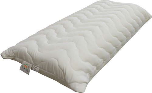 Coussin orthopédique - coussin, en