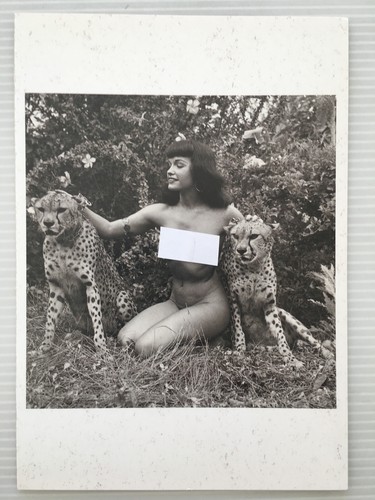 Carte postale betty page - postale,