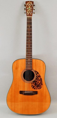 Blueridge 140 concert - br-140,
