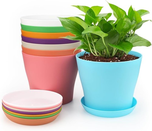 Kinglake pots plastique 10cm - 8,
