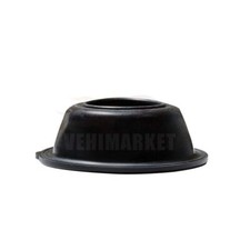 Membrane de Boisseau Diaphragm