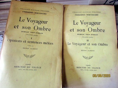 Nietzsche frederic voyageur - nietzsche, le
