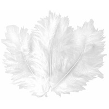 50 Plumes Blanches 10 Cm -