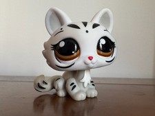 Petshop chat sphynx n°3585