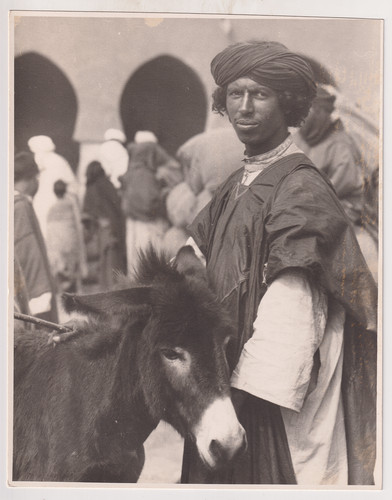 5x17 maroc attrib - 21,5x17, à