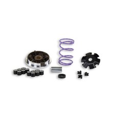 Variateur MALOSSI Multivar MHR